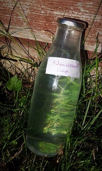 Bouteille d'assouplissant maison